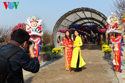 Jugendliche in Hanoi machen Fotos in Frühlingsgärten - ảnh 5