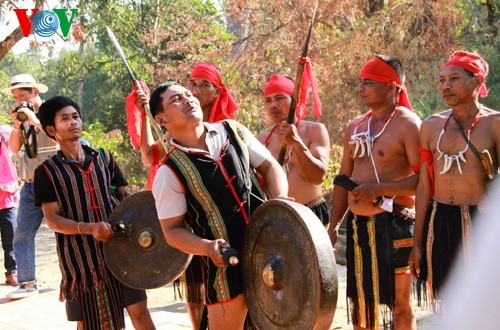 Das Elefanten-Fest im Dorf Don - ảnh 10