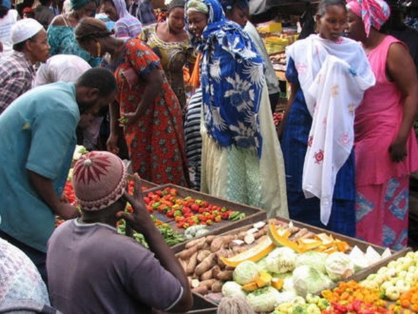 Deutschland verabschiedet neue Politik für Afrika - ảnh 1