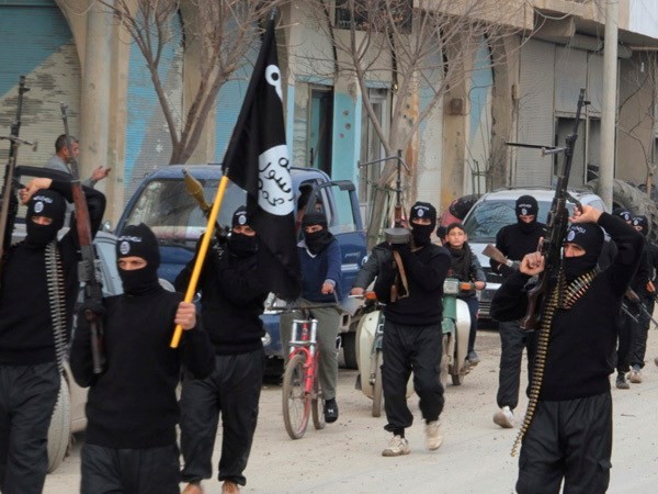Isil beherrscht wichtige Kreise an der Grenze zwischen Irak und Syrien - ảnh 1