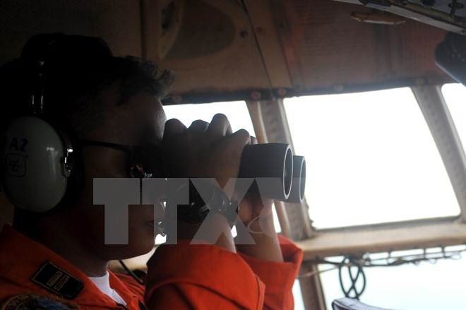 Zahlreiche Länder wollen bei der Suche des Flugzeugs QZ8501 helfen - ảnh 1