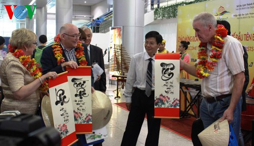 Mehr als 1000 ausländische Touristen besuchen Vietnam zum Neujahr - ảnh 1