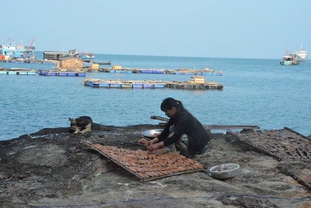 Das Leben auf der Insel Hon Chuoi in Ca Mau - ảnh 1