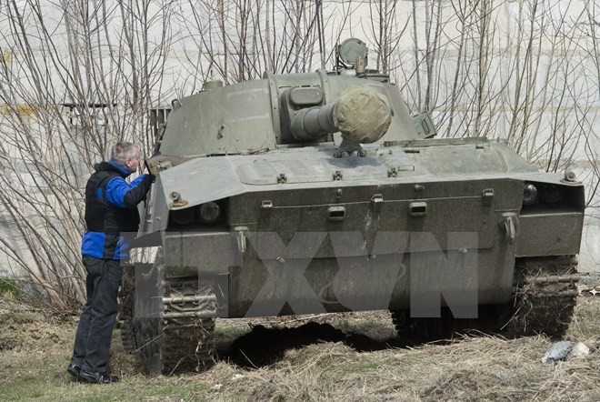 OSZE ruft alle Seiten in der Ukraine zur Garantie der Waffenruhe auf - ảnh 1