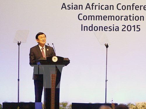 Staatspräsident Truong Tan Sang nimmt an Feier zum 60. Jahrestag der Bandung-Konferenz teil - ảnh 1