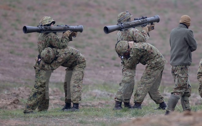 Japan, die USA und Frankreich führen ein gemeinsames Manöver im Mai - ảnh 1