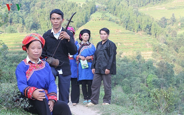 Der junge Reis auf den Reisterrassen in Tung San - ảnh 12