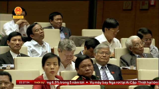 Das Parlament berät über den Gesetzesentwurf für Untersuchungshaft und vorläufige Festnahme - ảnh 1