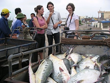 Homestay in nordvietnamesischen Provinzen erleben - ảnh 2