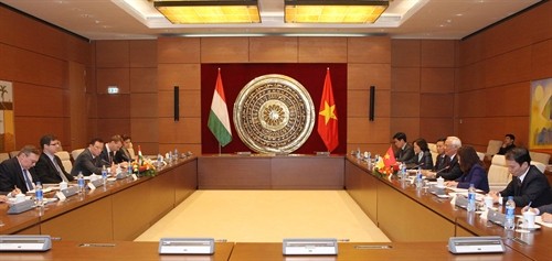 Vietnam und Ungarn wollen Zusammenarbeit in allen Bereichen verstärken - ảnh 1