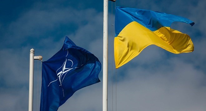 Georgien und die Ukraine verstärken die Zusammenarbeit - ảnh 1