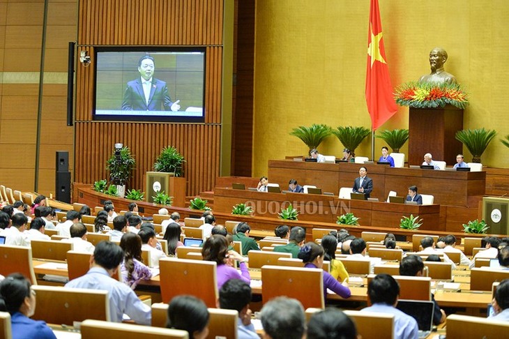 Arbeitsminister: 2018 ist ein erfolgreiches Jahr für Berufsbildung - ảnh 1