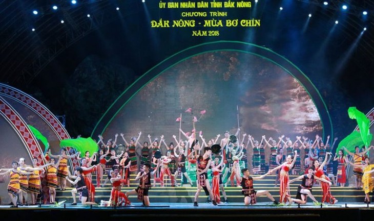 Eröffnung des Programms „Dak Nong- die Saison der reifen Avocado“ - ảnh 1