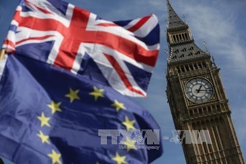 Neue Fortschritte in den Brexit-Verhandlungen - ảnh 1