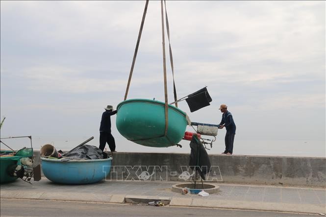 Vorbereitung gegen Sturm USAGI - ảnh 1