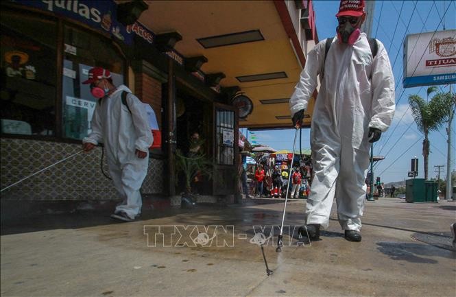 Die USA bestätigen neue hohe Zahl der Covid-19-Infizierten  - ảnh 1