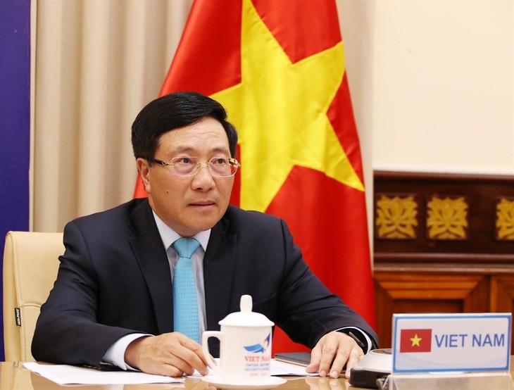 Vize-Premierminister Pham Binh Minh nimmt an Online-Diskussion des UN-Sicherheitsrats teil - ảnh 1