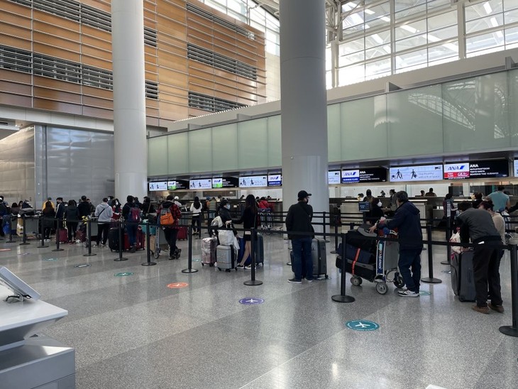 Rückholung der vietnamesischen Bürger aus Japan und den USA - ảnh 1