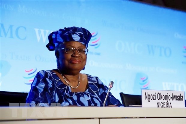 Vietnam unterstützt und gratuliert der neuen WTO-Direktorin - ảnh 1