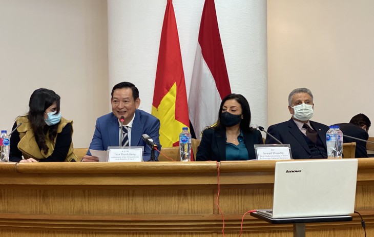 Der vietnamesische Kulturtag in Ägypten - ảnh 1