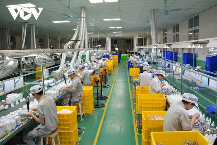 Das Wachstum in den drei letzten Quartals hängt vom Export ab - ảnh 1