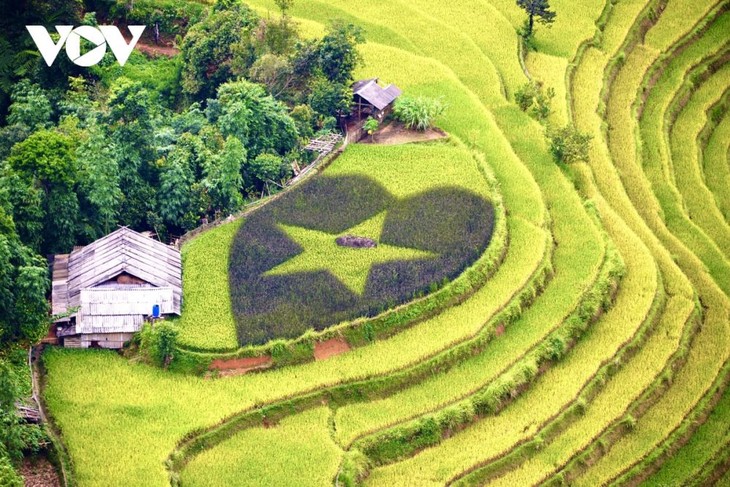 Kulturwoche „Durch die Reisterrassen in Hoang Su Phi” im September  - ảnh 1