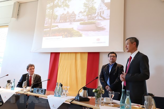 Förderung der Zusammenarbeit in Krankenpflege zwischen Vietnam und Deutschland - ảnh 1