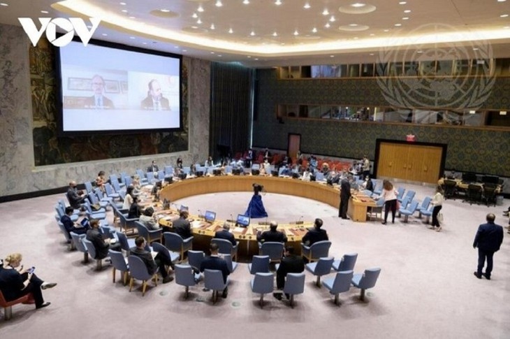 Vietnam unterstützt die Nichtverbreitung der Massenvernichtungswaffen - ảnh 1