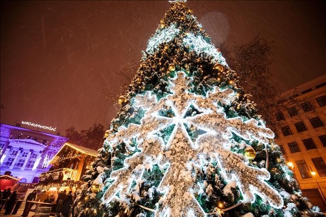 Die Welt feiert Weihnachten in Solidarität gegen Covid-19-Epidemie - ảnh 1