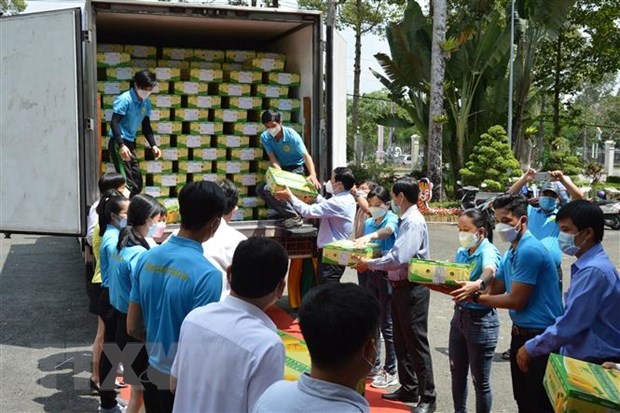 Dong Thap exportiert erstmals Mangos zum neuen Jahr nach Europa  - ảnh 1