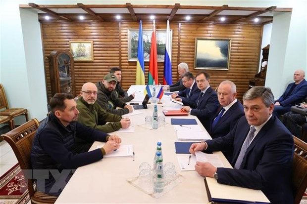 Diplomatische Anstrengungen für Friedens-Verhandlung zwischen Russland und der Ukraine ergebnislos - ảnh 1