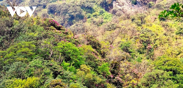 Die Tourismus- und Kulturwoche in der Bergprovinz Lai Chau - ảnh 1