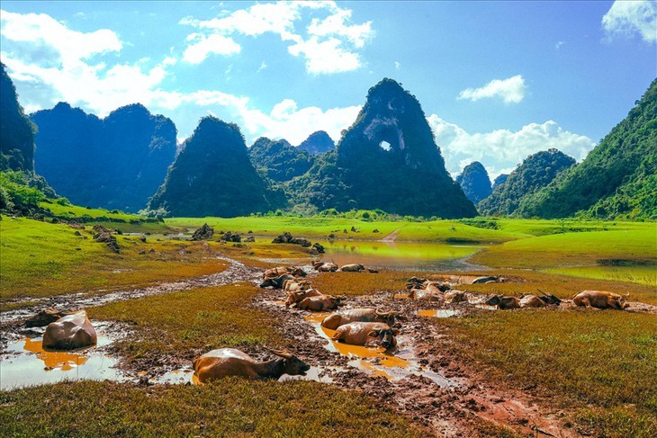 Die Schönheit des Berges „heiliges Auge” in Cao Bang - ảnh 3