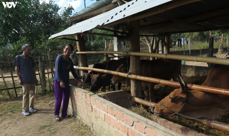 Armutsbekämpfung in Gebieten ethnischer Minderheiten im Kreis Duc Co in der Provinz Gia Lai - ảnh 1