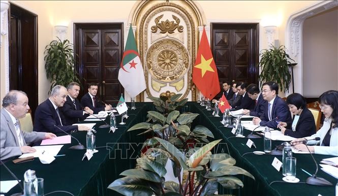 Politische Konsultation der Vize-Außenminister zwischen Vietnam und Algerien - ảnh 1