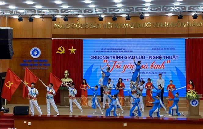 Kunstprogramm „Ich liebe den Frieden“ - ảnh 1