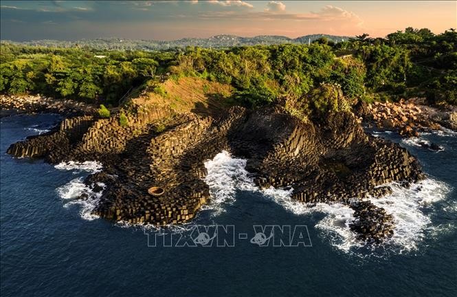 Internationale Zusammenarbeit beim Aufbau des Geoparks Phu Yen - ảnh 1