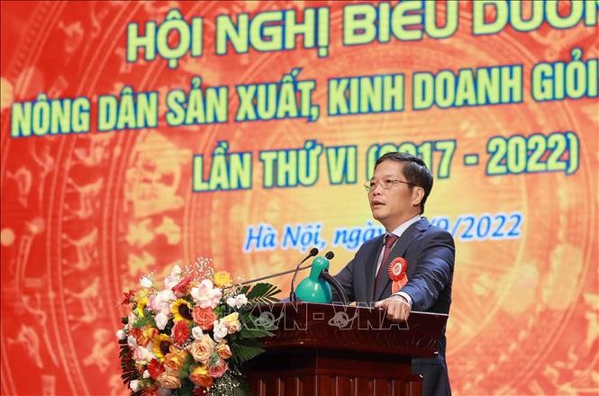 Ehrung der aktiven und innovativen Bauern - ảnh 1