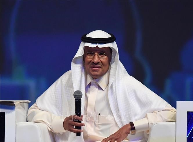 OPEC richtet sich nach Stabilität des globalen Ölmarktes - ảnh 1