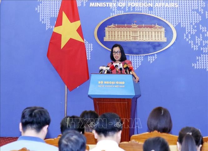 Der Dokumentarfilm „MH370 – das verschwundene Flugzeug” verärgert die vietnamesische Öffentlichkeit - ảnh 1