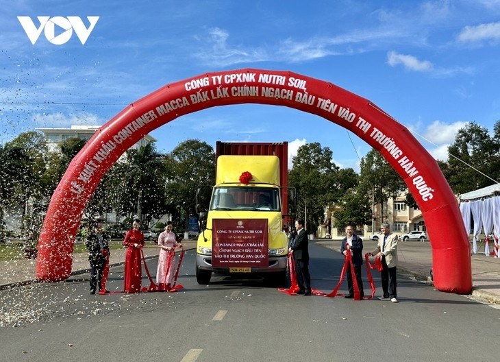 Export des ersten Containers von Macadamia aus Dak Lak nach Südkorea - ảnh 1