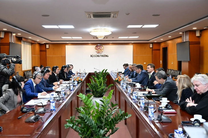 Vietnam will mit Deutschland im Energie-Bereich zusammenarbeiten - ảnh 1