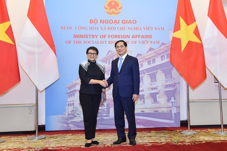 Außenminister Bui Thanh Son leitet die Sitzung der Vietnam-Indonesien-Kommission - ảnh 1