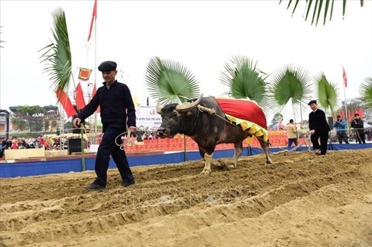 Long tong – Einzigartiges Fest der Volksgruppe der Tay in Ha Giang - ảnh 2