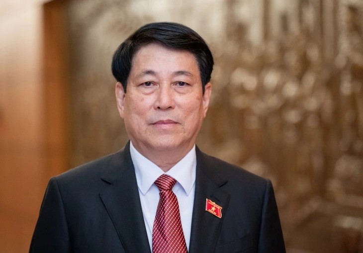 Staatspräsident Luong Cuong reist nach Chile und Peru - ảnh 1