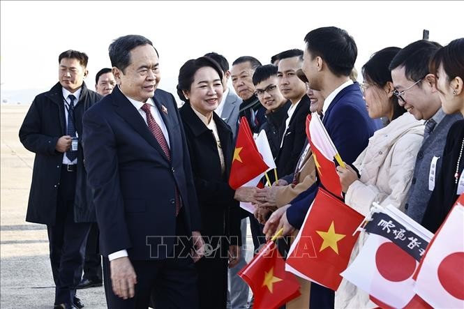 Parlamentspräsident Tran Thanh Man beendet seinen Besuch in Japan - ảnh 1