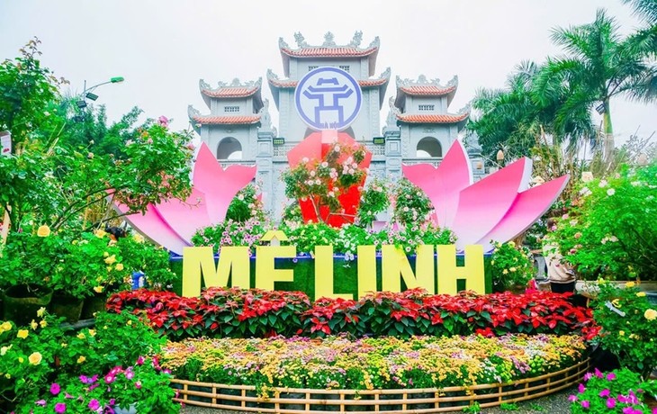 Das größte Blumenfestival im Kreis Me Linh in Hanoi - ảnh 1