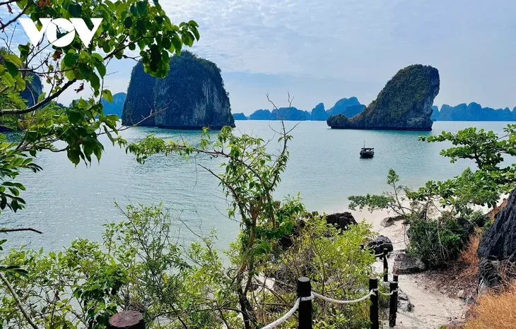 Briefkastensendung am 19.03.2025 - ảnh 1