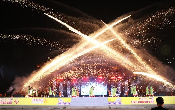 Das Fest der vietnamesischen Kampfkunst in der Kaiserstadt Hue - ảnh 1