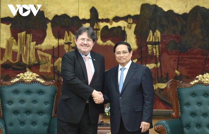 Vietnam ist ein wichtiger Partner Österreichs in Südostasien - ảnh 1